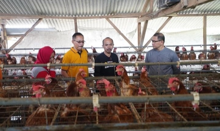 Pj. Wali Kota Batu Aries Bersama Kadis Pertanian Tinjau Peternakan Ayam di Junrejo
