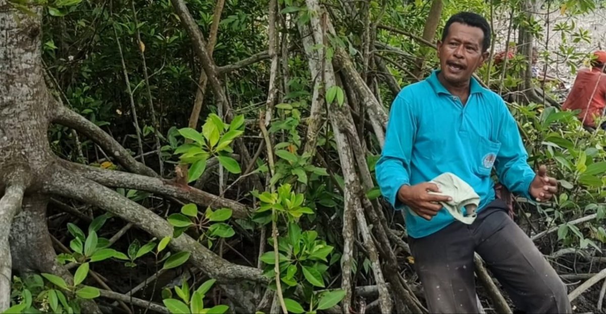 Sepak Terjang Azizi, 20 Tahun Hijaukan 456 ha Pesisir dengan Mangrove