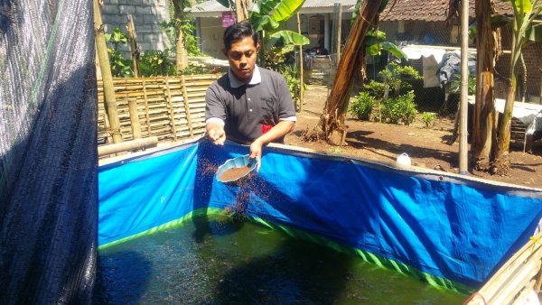 Berdayakan Ekonomi Warga, Pokdakan Sumber LELE Wo Matangkan Business Plan