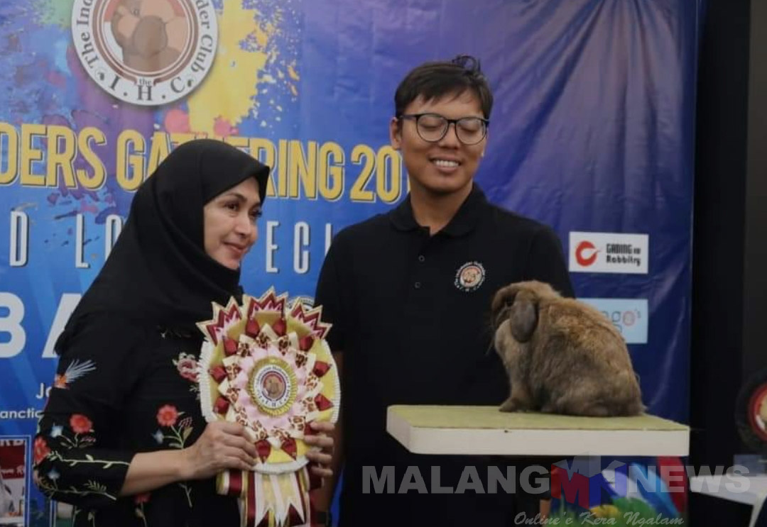 Mulai 2009, Dodiek Benny Yuniarto Konsisten Breeding Kelinci Hias