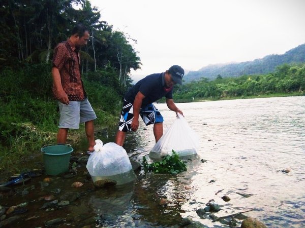 Lestarikan Alam, Pokdarwis Purwodadi Lepas 10.000 Benih Ikan Nila