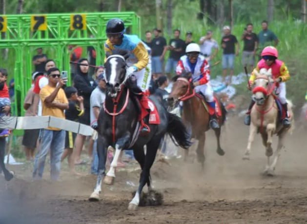 Perebutkan Wali Kota Cup, Pordasi Kota Batu Gandeng KONI Kota Batu Gelar Lomba Pacuan Kuda se-Jatim