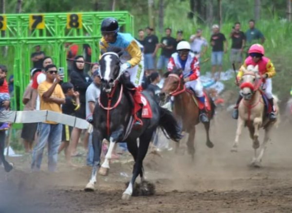 Perebutkan Wali Kota Cup, Pordasi Kota Batu Gandeng KONI Kota Batu Gelar Lomba Pacuan Kuda se-Jatim