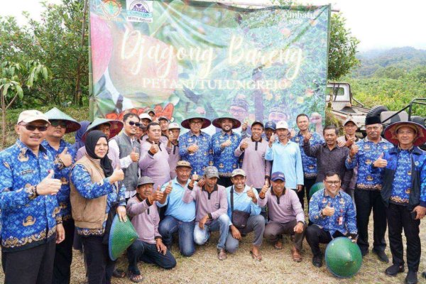 Pemkot Batu Komitmen Tingkatkan Potensi Produksi Apel di Desa Tulungrejo, Tinjau Kebun Apel di Dusun Besta