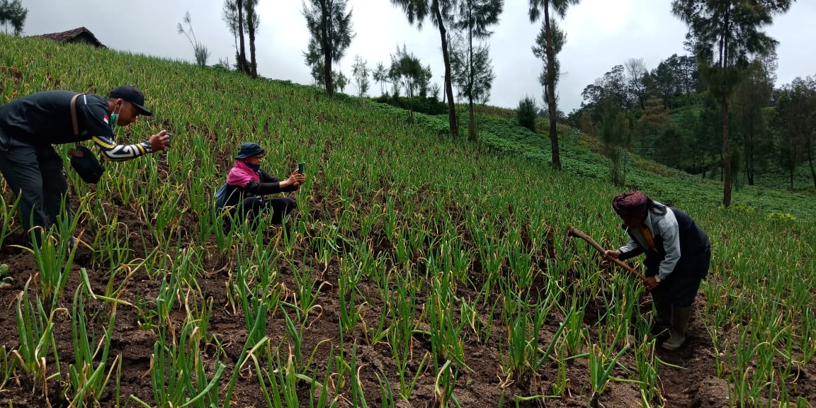 Hunting Phonegraphy di Ngadas, Mahasiswa UWG Malang Merekam Jejak Ecososioreligiokultural