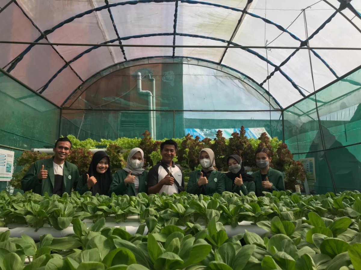 Mahasiswa Polbangtan Malang Magang Teknik Urban Farming di Desa Pesanggrahan, Kota Batu