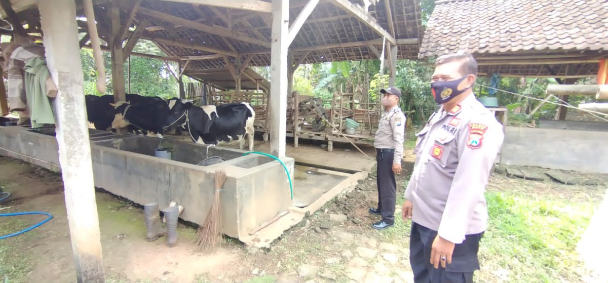 Antisipasi Wabah PMK, Polsek Kasembon Laksanakan Patroli Dialogis