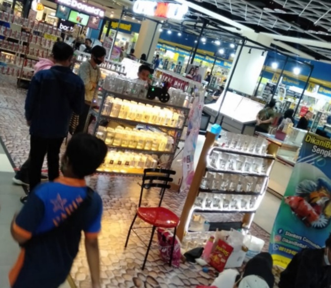 Pameran Ikan Hias di Matos, Jadi Trend Baru