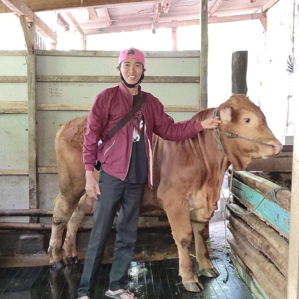 Peternak Gembira, Penjualan Melonjak Mendekati Idul Kurban di Tengah Pandemi