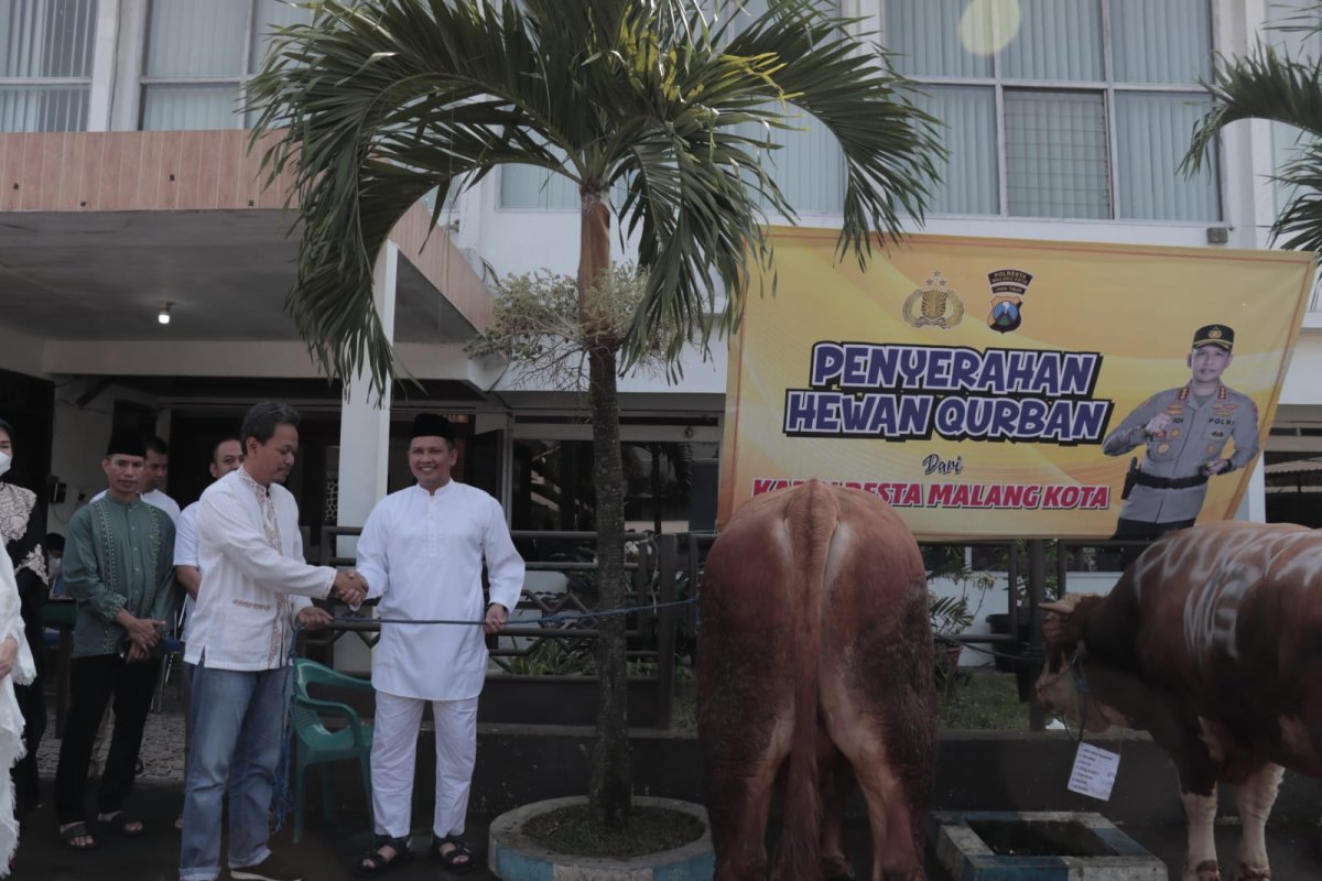 Idul Adha 1443 H, Polresta Malang Kota Distribusikan 7 Ekor Sapi dan 24 Ekor Kambing