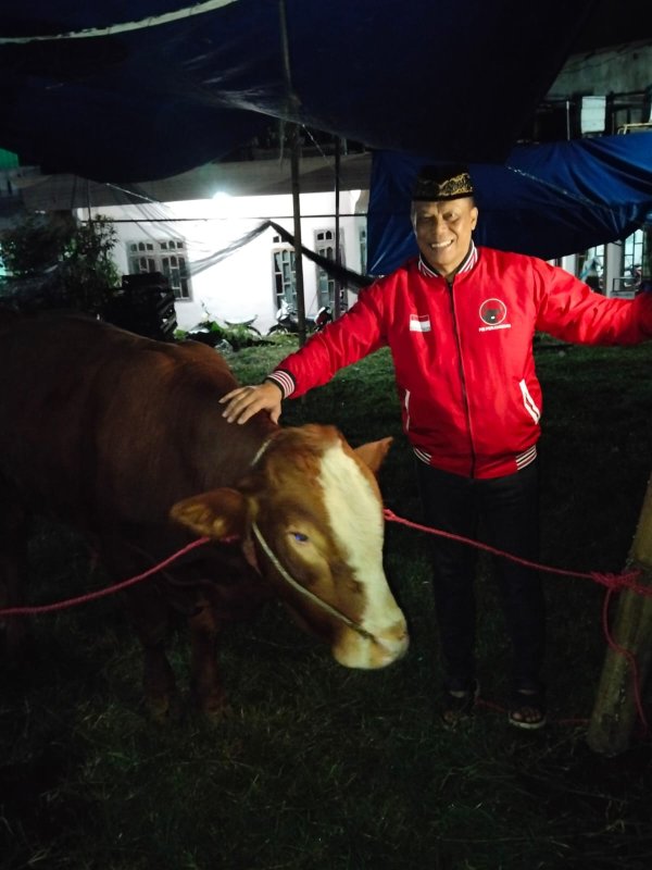 DPC PDI Perjuangan Kota Batu Terima Hewan Kurban 5 Ekor Sapi dari DPD Jatim, Komitmen Sebarkan Semangat Perjuangan Berbagi Kebahagiaan Bersama Masyarakat