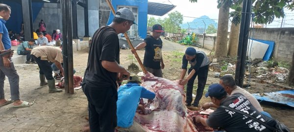 Distribusikan ke Masyarakat Sekitar, Polres Batu Sembelih Hewan Kurban 4 Ekor Sapi dan 35 Kambing