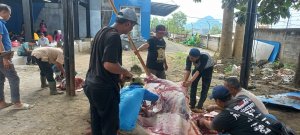 Distribusikan ke Masyarakat Sekitar, Polres Batu Sembelih Hewan Kurban 4 Ekor Sapi dan 35 Kambing